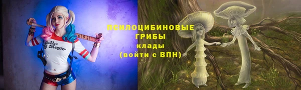 стафф Горно-Алтайск