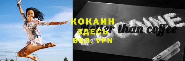 ешки Горняк