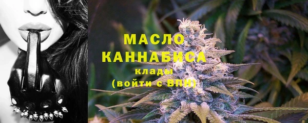 молекула духа Вяземский
