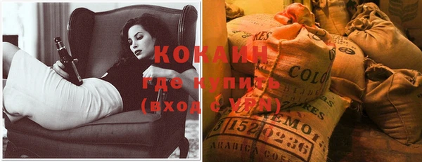 ешки Горняк