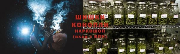 ешки Горняк