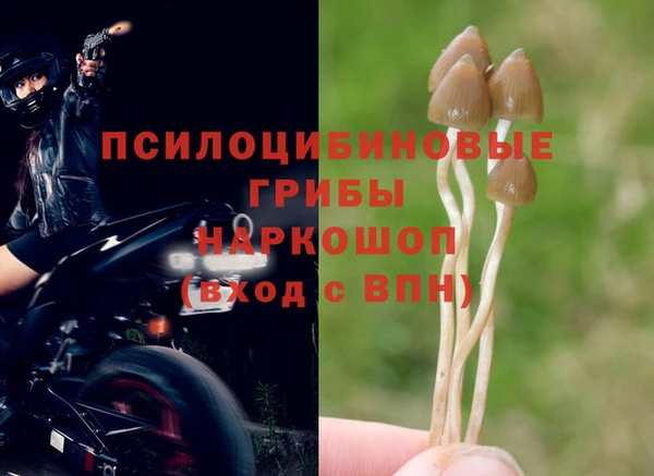 стафф Горно-Алтайск
