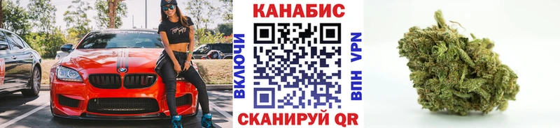 Купить  Пойковский  Канабис сатива 